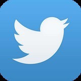 推特安卓版 v2021