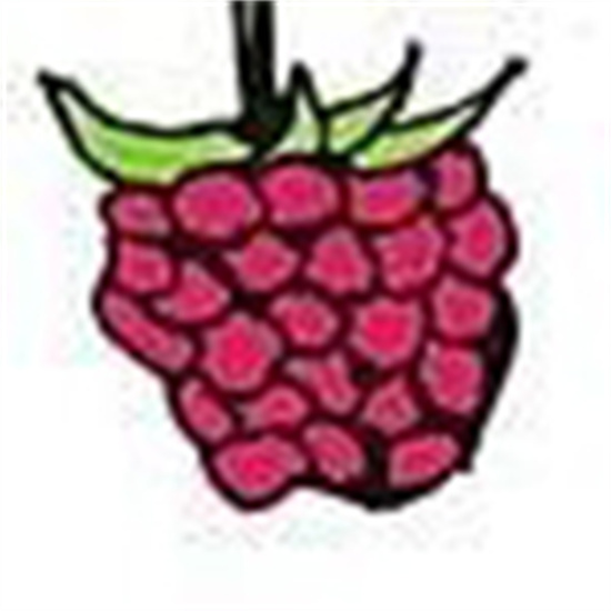 树莓派最新版 v1.0 去广告版